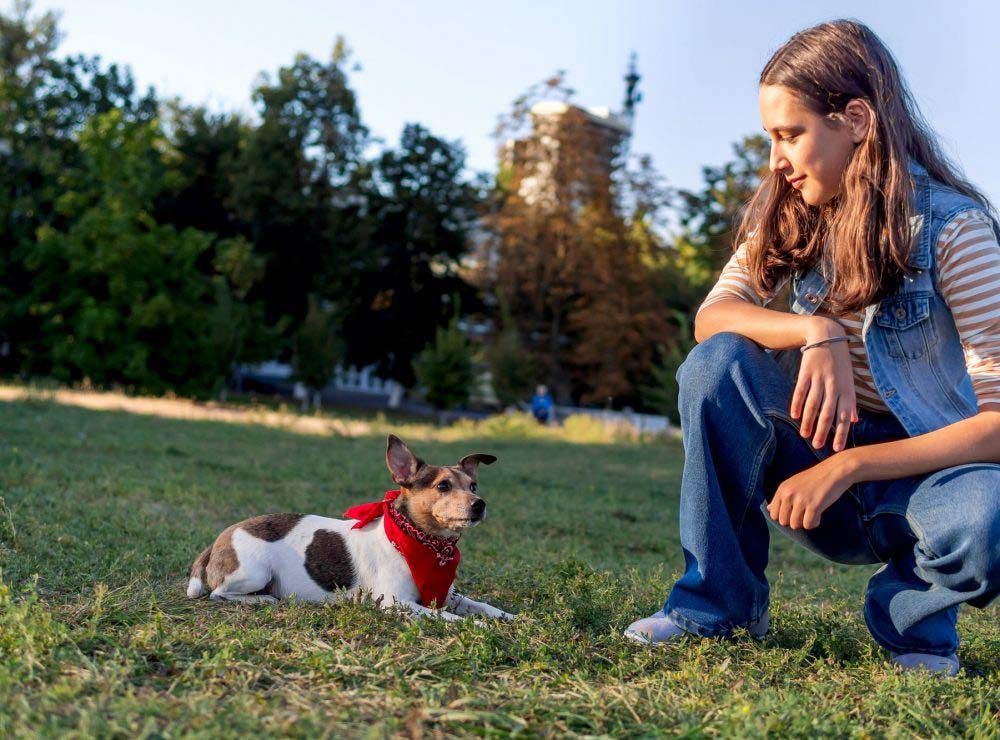 a-teenage-girl-trains-a-cute-pet-dog-jack-russell-on-the-grass-in-a-doggy-park-in-the-autumn-evening-q37w9gheb41pla9bszoplh7yijputq5dhxbttukx60