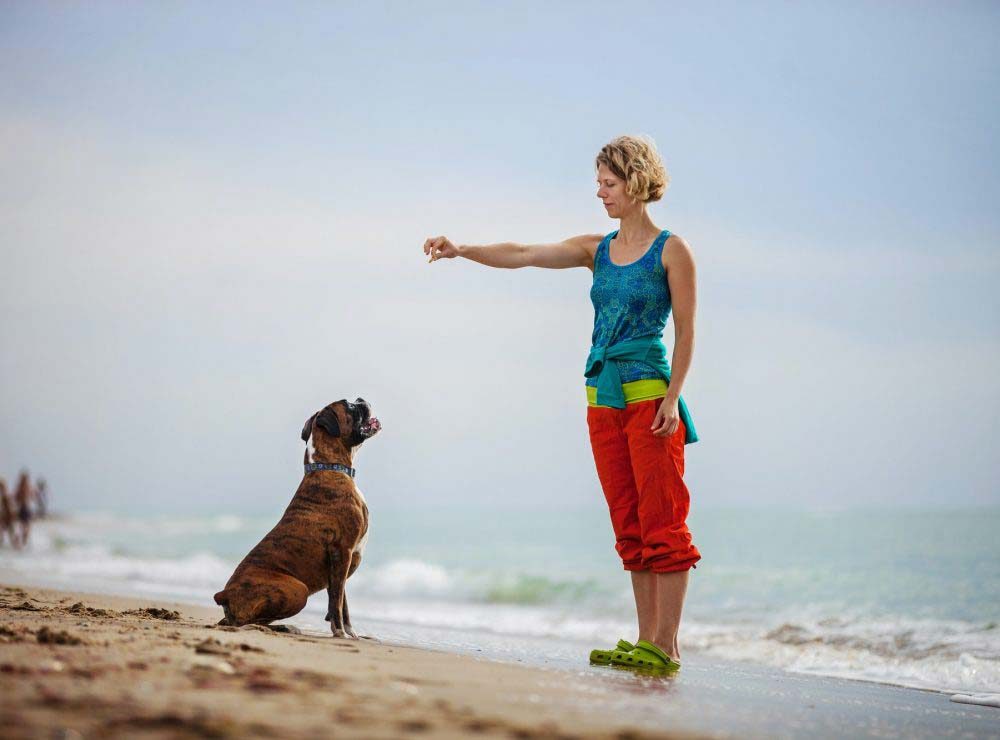 young-woman-giving-commands-to-boxer-dog-while-walking-on-beach-q3etd8j3rm9eba259v2moznqvwocs8lzgb7cnbyrjc